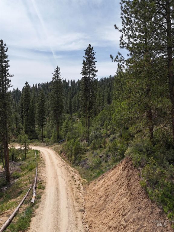TBD 39.64 Manning Ln, Idaho City, ID 83631 photo 8