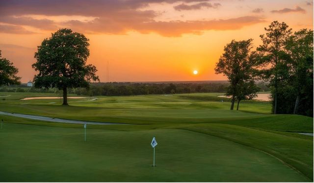 10518 Blue Indigo Court, Willis, TX 77318