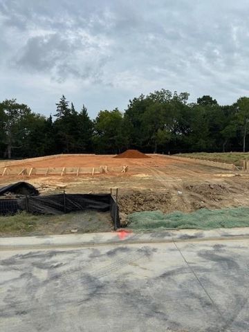 10518 Blue Indigo Court, Willis, TX 77318