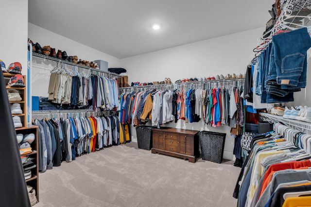 7201 Ludlow Dr, College Grove, TN 37046