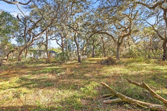 34574 ORCHID PARKWAY, Dade City, FL 33523