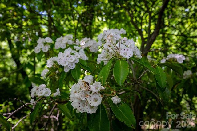TBD Diamond Creek Road, Lake Toxaway, NC 28747