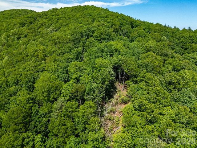 TBD Diamond Creek Road, Lake Toxaway, NC 28747