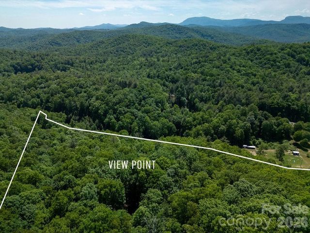 TBD Diamond Creek Road, Lake Toxaway, NC 28747