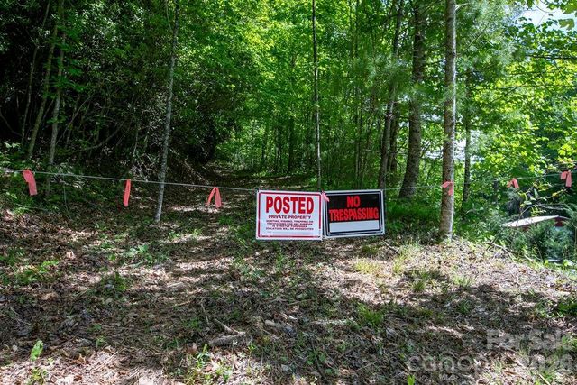 TBD Diamond Creek Road, Lake Toxaway, NC 28747