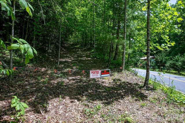TBD Diamond Creek Road, Lake Toxaway, NC 28747