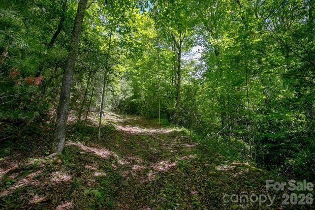 TBD Diamond Creek Road, Lake Toxaway, NC 28747