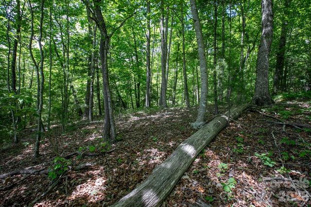TBD Diamond Creek Road, Lake Toxaway, NC 28747