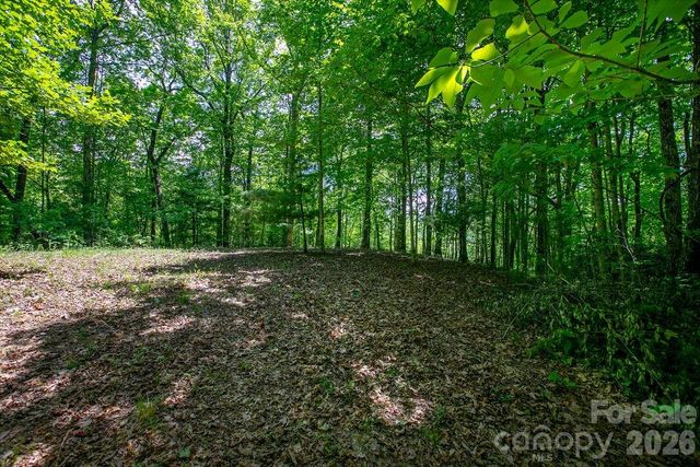 TBD Diamond Creek Road, Lake Toxaway, NC 28747