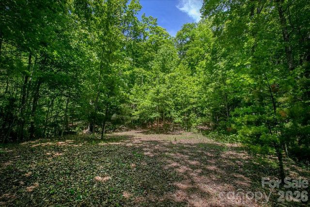 TBD Diamond Creek Road, Lake Toxaway, NC 28747