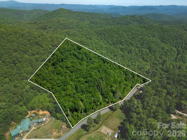 TBD Diamond Creek Road, Lake Toxaway, NC 28747