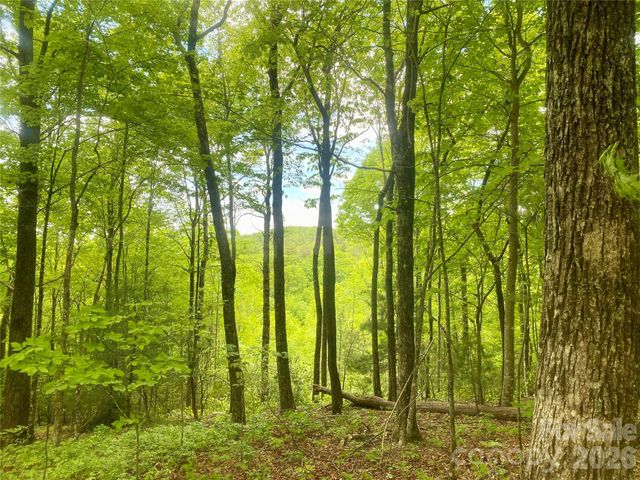 TBD Diamond Creek Road, Lake Toxaway, NC 28747