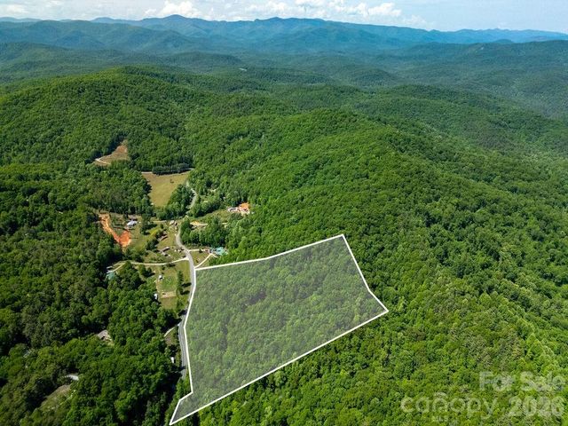 TBD Diamond Creek Road, Lake Toxaway, NC 28747