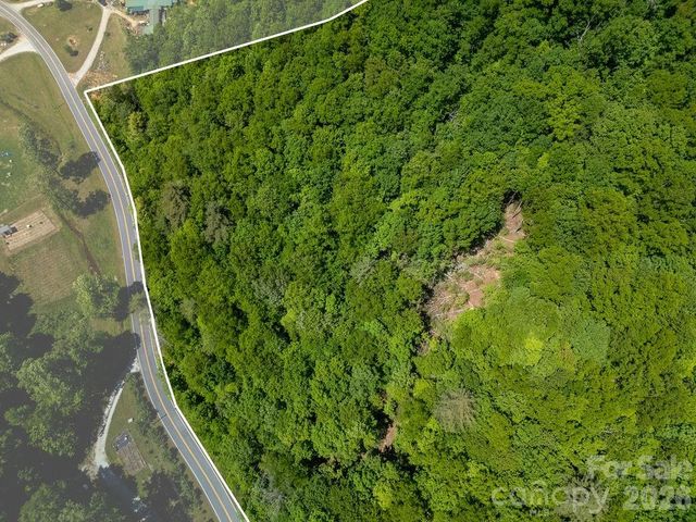 TBD Diamond Creek Road, Lake Toxaway, NC 28747