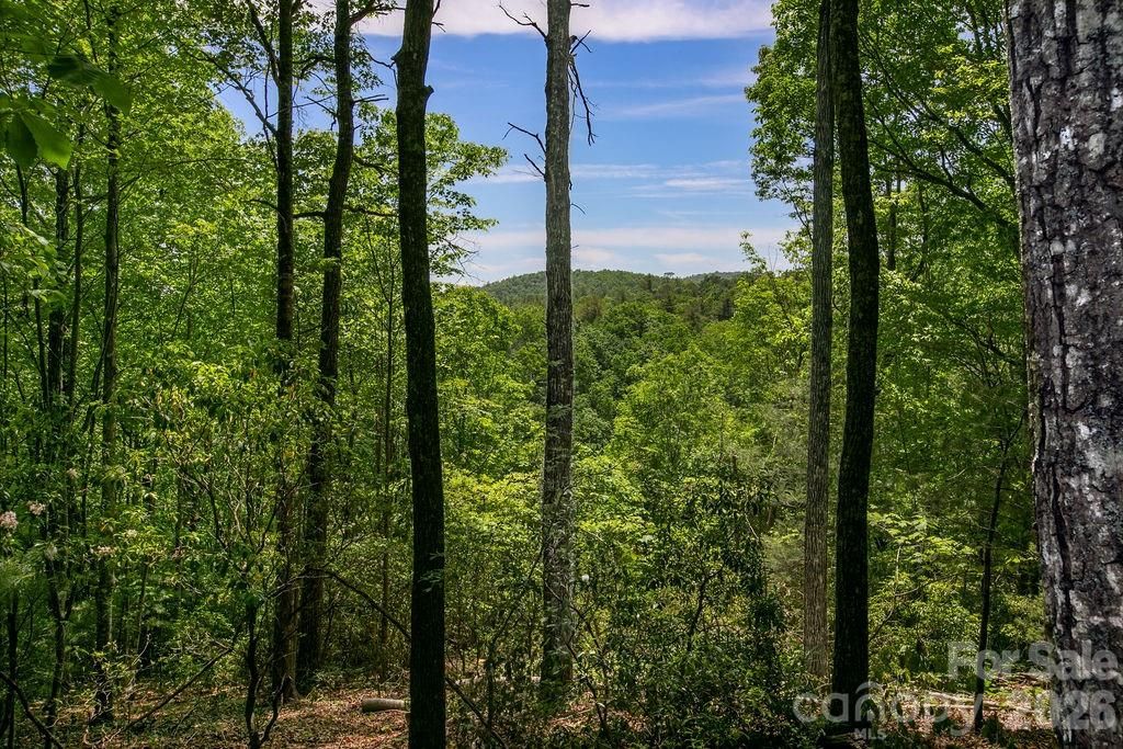 TBD Diamond Creek Road, Lake Toxaway, NC 28747