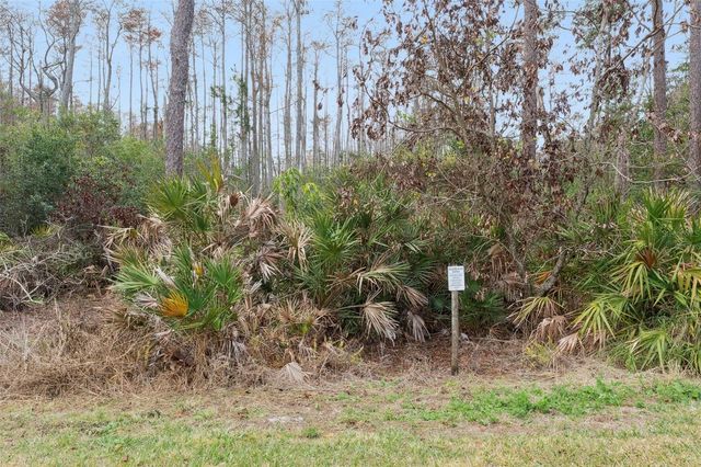 12862 LANGSTAFF DRIVE, Windermere, FL 34786