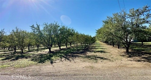 9581 Jones, Durham, CA 95938