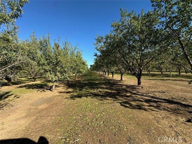 9581 Jones, Durham, CA 95938