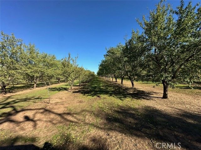 9581 Jones, Durham, CA 95938