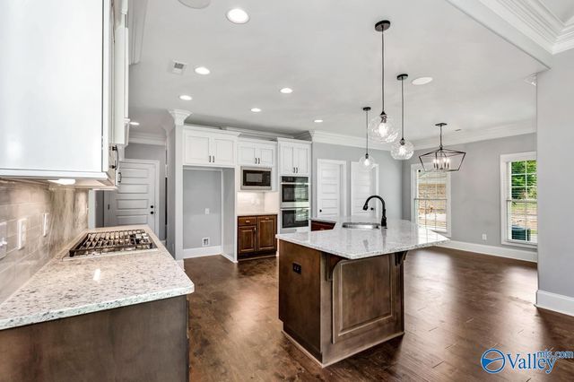 Tonya B Plan Sherry Hill Trail, Madison, AL 35756