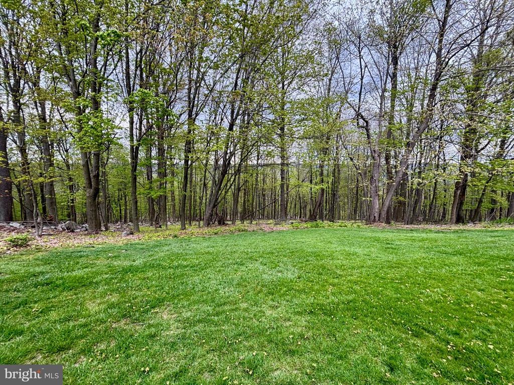 Image 49 of property listing at 209 JAMES CT, Frostburg, MD 21532