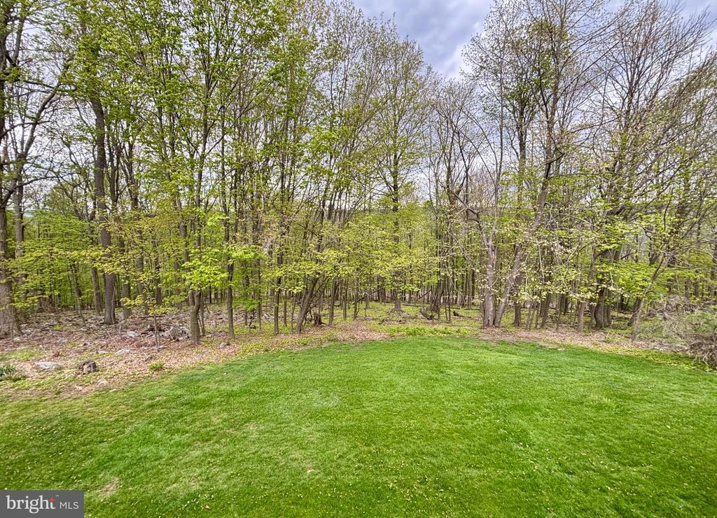 Image 50 of property listing at 209 JAMES CT, Frostburg, MD 21532