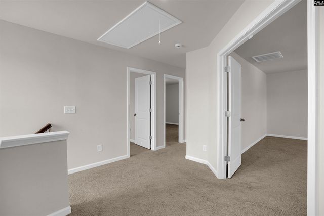 316 Red Globe Trail, Lexington, SC 29072
