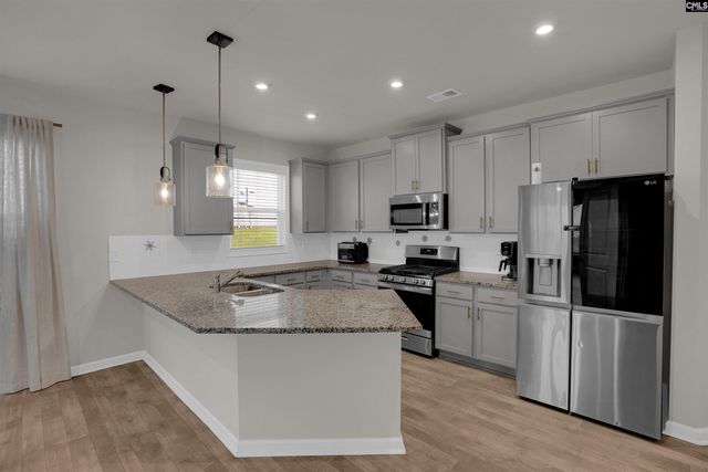 316 Red Globe Trail, Lexington, SC 29072