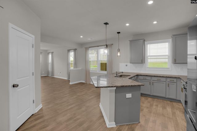 316 Red Globe Trail, Lexington, SC 29072