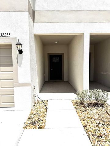 32235 POWDERPUFF MIMOSA DRIVE, San Antonio, FL 33576