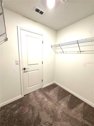 32235 POWDERPUFF MIMOSA DRIVE, San Antonio, FL 33576