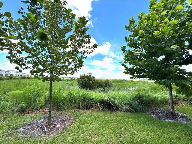 32235 POWDERPUFF MIMOSA DRIVE, San Antonio, FL 33576