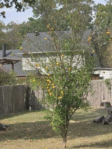 254 Maple Lane, Conroe, TX 77304