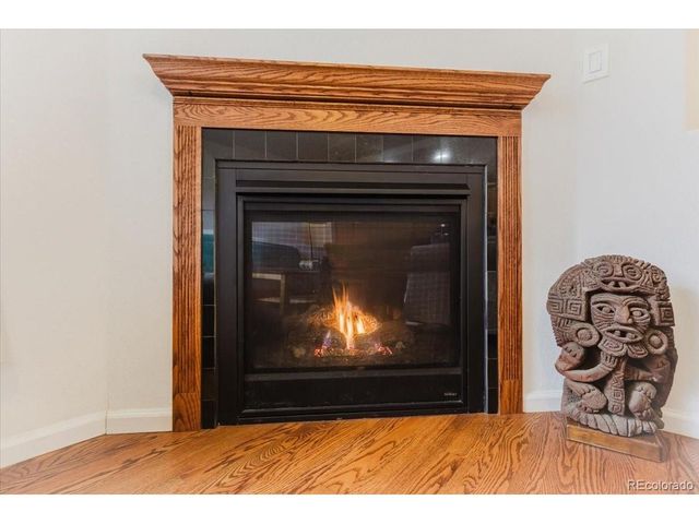 2771 Dundee Pl, Erie, CO 80516