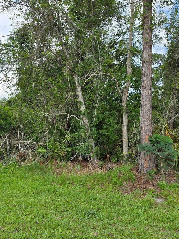 3227 URMEY AVENUE, Deltona, FL 32738