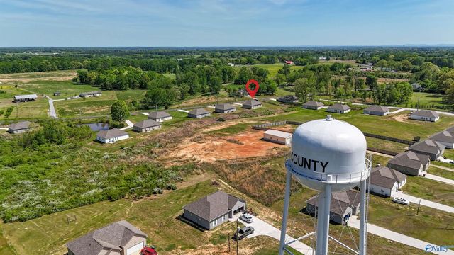 871 Bethel Church Road, Eva, AL 35621