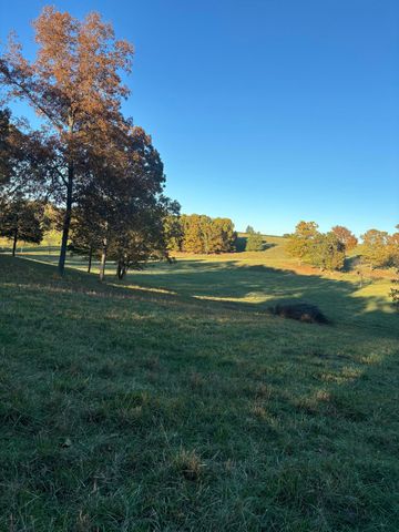 Hc 73 County Road 245, Drury, MO 65638