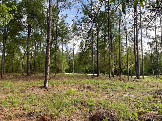 15570 CLIFF SWALLOW ROAD, Weeki Wachee, FL 34614