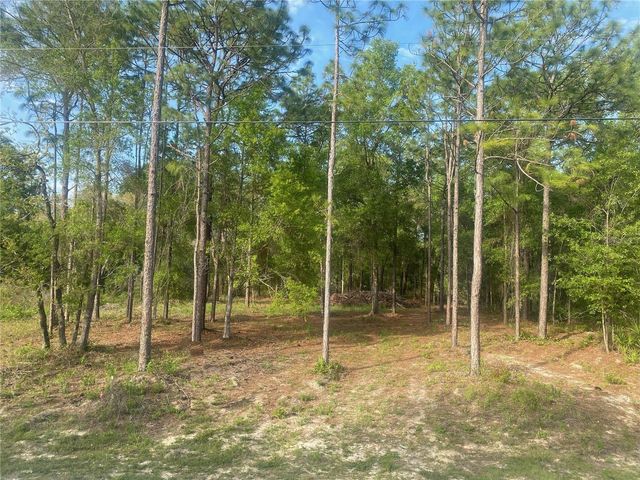 15570 CLIFF SWALLOW ROAD, Weeki Wachee, FL 34614