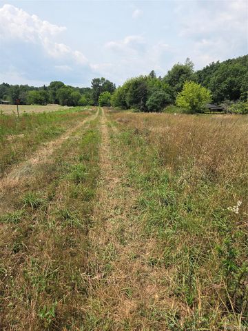 5800 parcel 2-C mack, Oceola Township, MI 48843