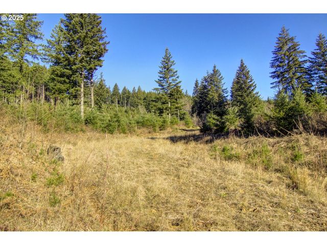 29110 Ne Hancock Rd, Camas, WA 98607