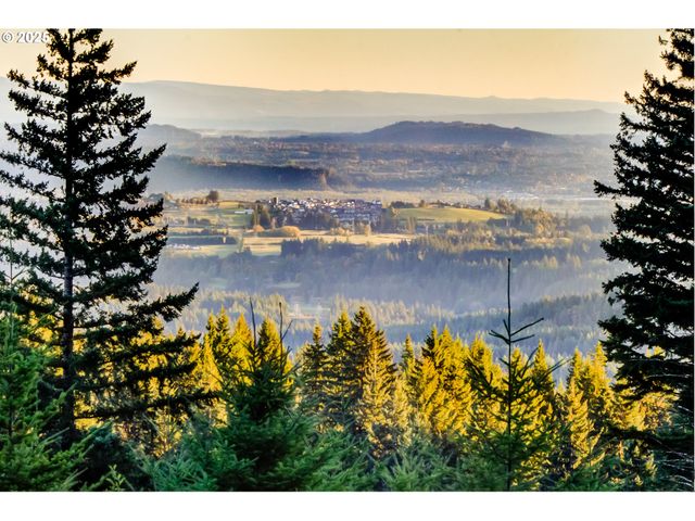 29110 Ne Hancock Rd, Camas, WA 98607