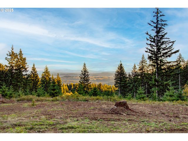 29110 Ne Hancock Rd, Camas, WA 98607