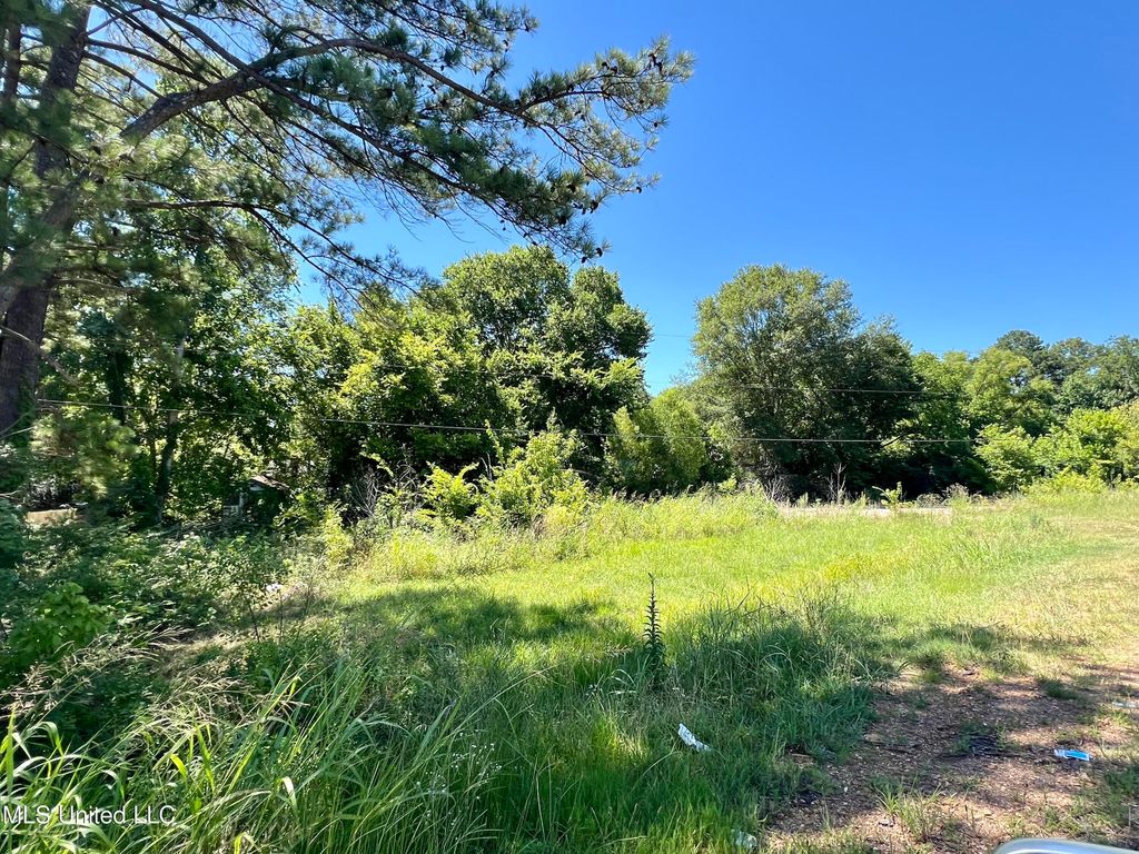 Hyline Drive, Byhalia, MS 38611 — photo 4