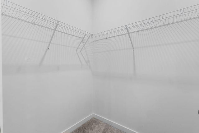 125 Trumpet Vine Drive, Summerville, SC 29483