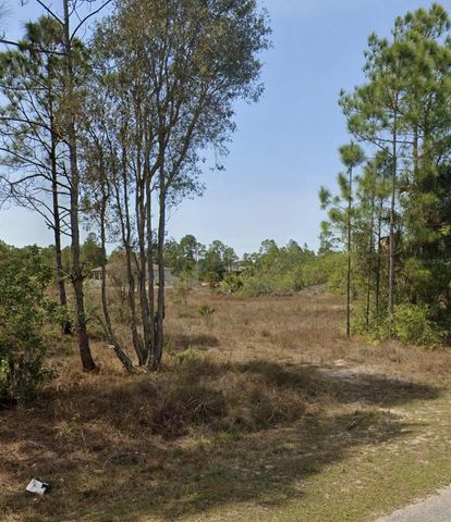 919 EUCLID AVENUE, Lehigh Acres, FL 33972