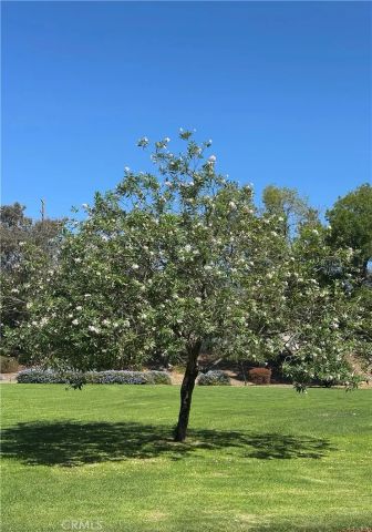 2173 Aspenwood Court, San Bernardino, CA 92404