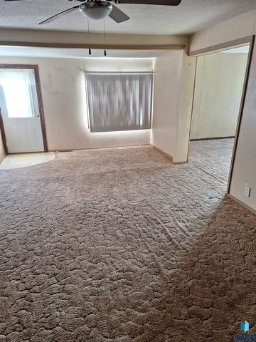 220 N Idaho St Street, Salem, SD 57058