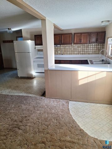 220 N Idaho St Street, Salem, SD 57058