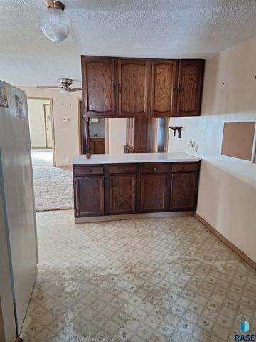 220 N Idaho St Street, Salem, SD 57058